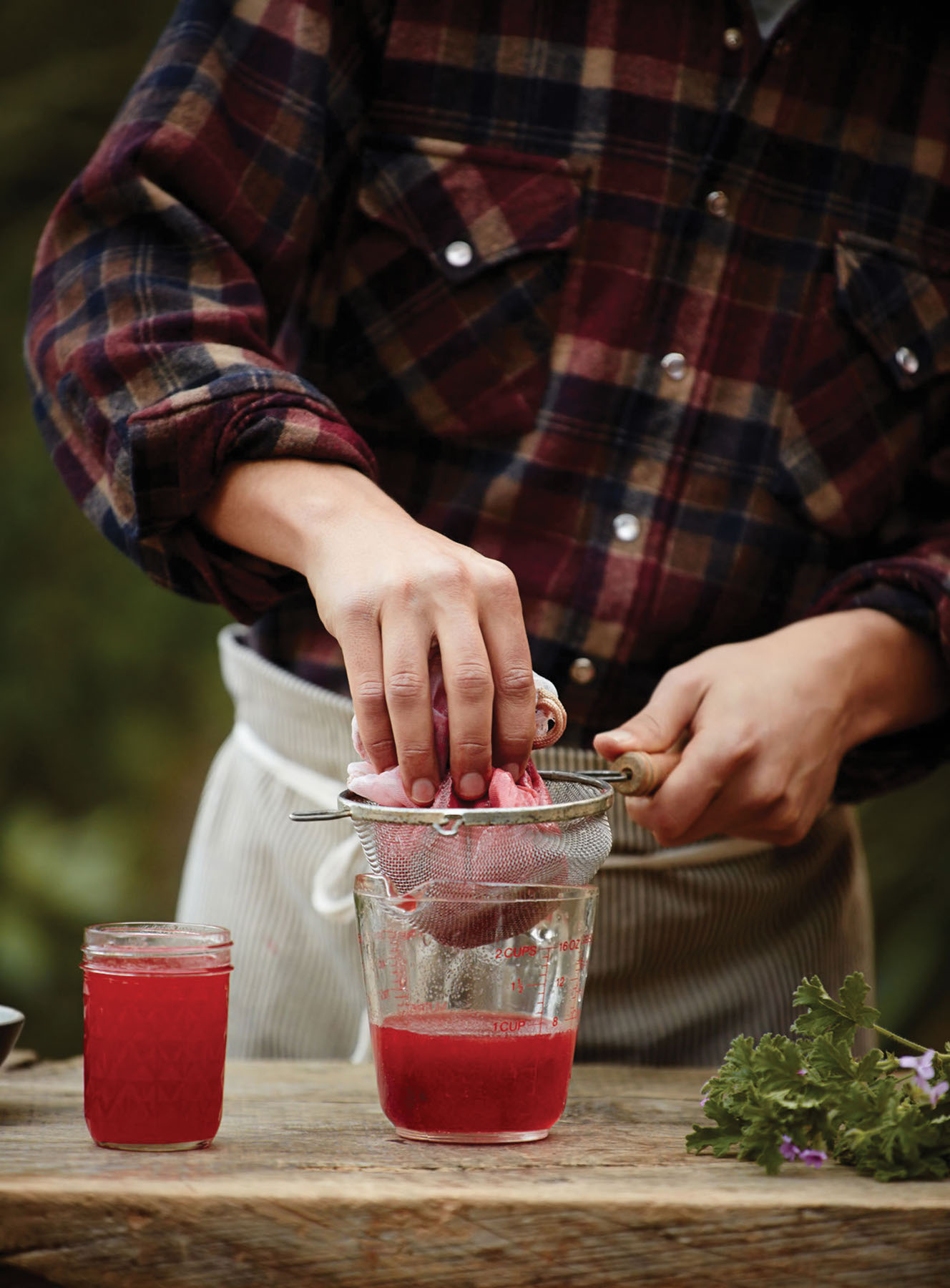 Elderberry Nettle Soda Recipe - Grit